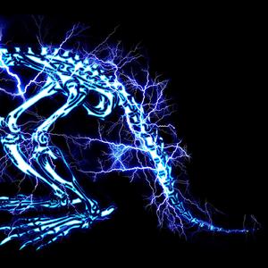 董文华三级片？
