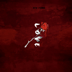 董文华三级片？
